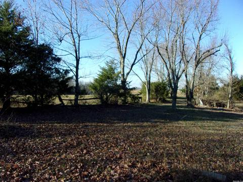 4751 Ranch Rd, Bee Branch, AR 72013 photo 7