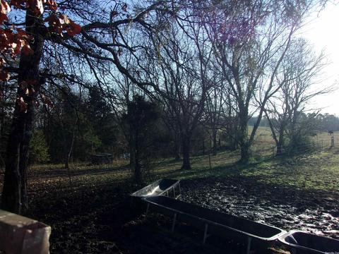 4751 Ranch Rd, Bee Branch, AR 72013 photo 28