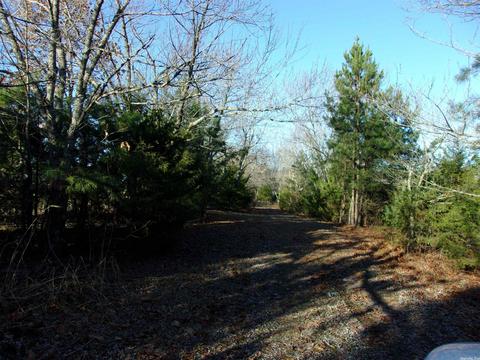 4751 Ranch Rd, Bee Branch, AR 72013 photo 5