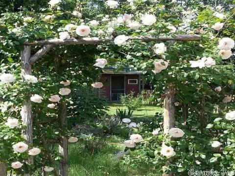 145 Belinda Ln, Beebe, AR 72012 photo 6