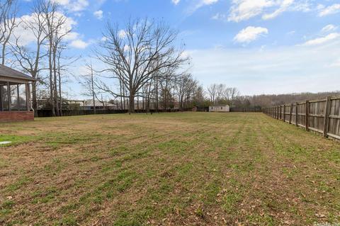 12 Cinel Dr, Austin, AR 72007 photo 29