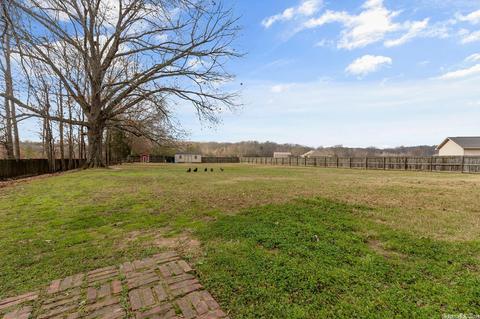 12 Cinel Dr, Austin, AR 72007 photo 28
