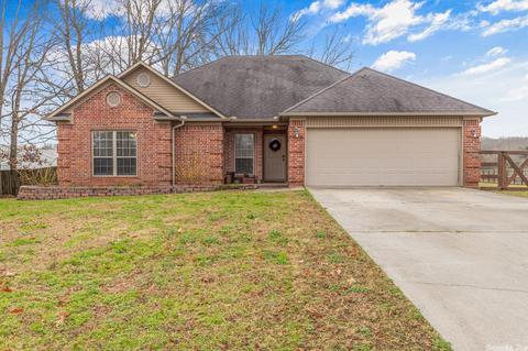 12 Cinel Dr, Austin, AR 72007 photo 1