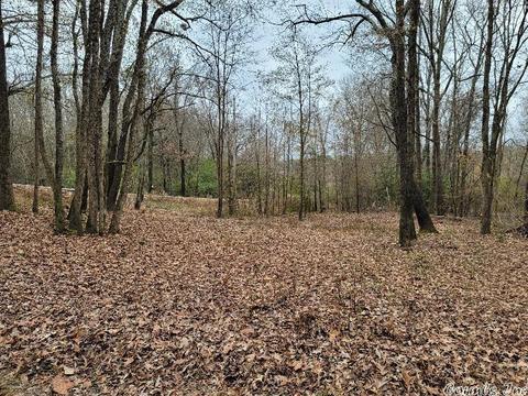 2371 Neely St, Benton, AR 72015 photo 22