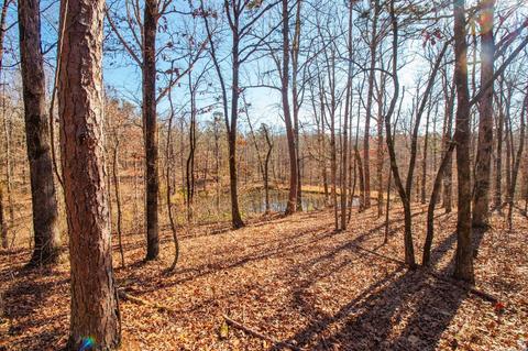 490 Greene 400 Rd, Marmaduke, AR 72443 photo 23
