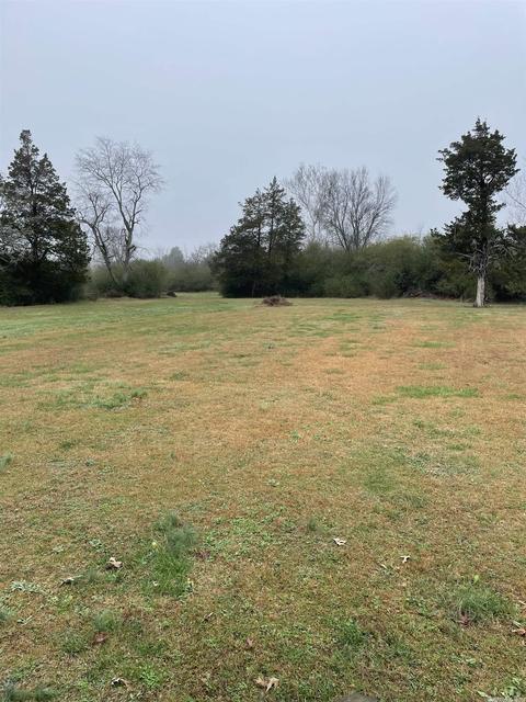 102 E Mitchell, Letona, AR 72085 photo 26