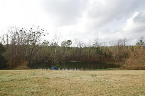 3025 Harrison, Benton, AR 72019 photo 18