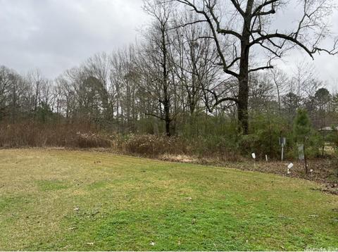 501 N Bryant, Pine Bluff, AR 71602 photo 4