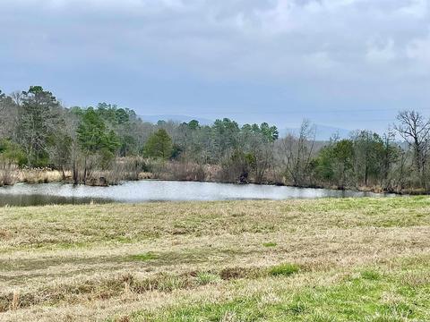 327 Polk 681, Mena, AR 71953 photo 31