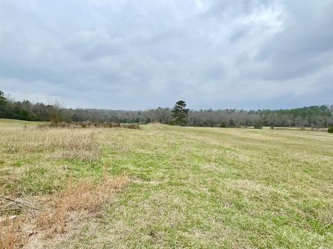 327 Polk 681, Mena, AR 71953 photo 27