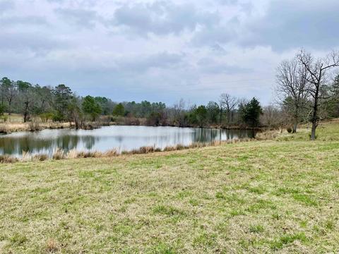 327 Polk 681, Mena, AR 71953 photo 33