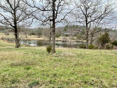 327 Polk 681, Mena, AR 71953 photo 4