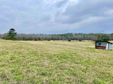 327 Polk 681, Mena, AR 71953 photo 29
