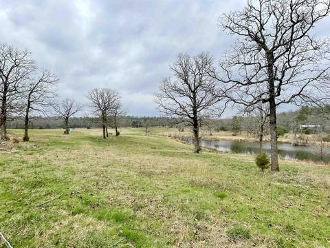 327 Polk 681, Mena, AR 71953 photo 3