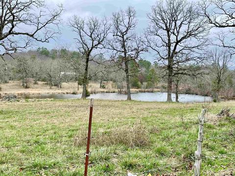 327 Polk 681, Mena, AR 71953 photo 23