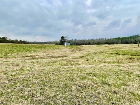 327 Polk 681, Mena, AR 71953 photo 35