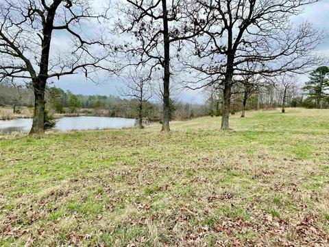 327 Polk 681, Mena, AR 71953 photo 36