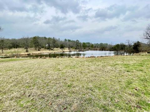 327 Polk 681, Mena, AR 71953 photo 32