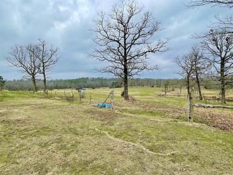 327 Polk 681, Mena, AR 71953 photo 6
