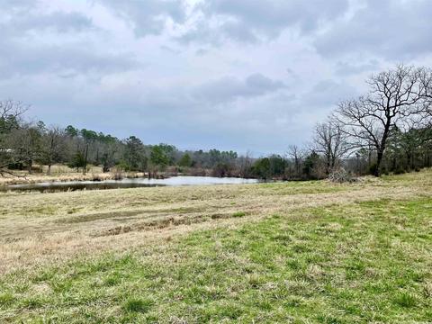 327 Polk 681, Mena, AR 71953 photo 30