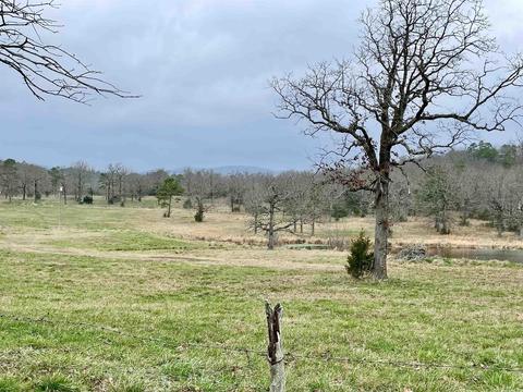 327 Polk 681, Mena, AR 71953 photo 20