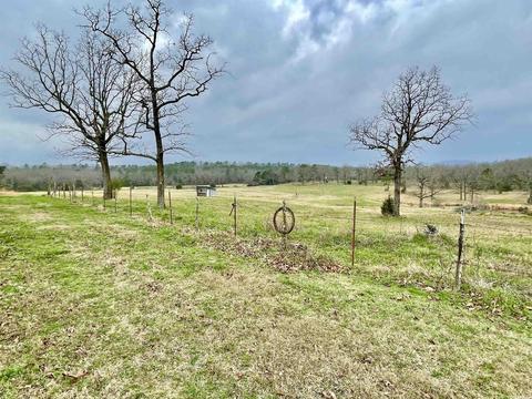 327 Polk 681, Mena, AR 71953 photo 21