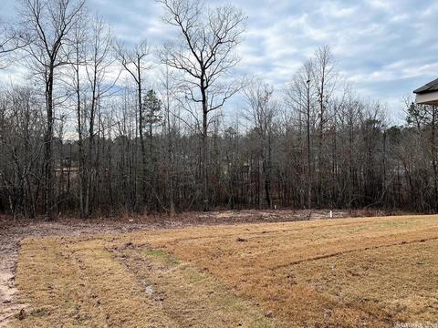 674 Lucy Ln, Alexander, AR 72002 photo 19