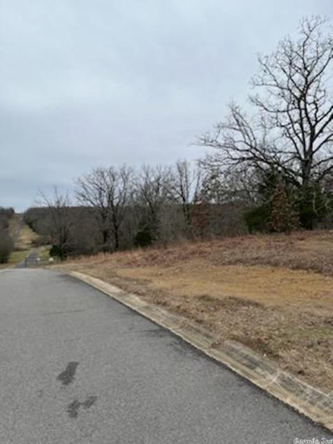 1593 Alamosa, Cabot, AR 72023 photo 4