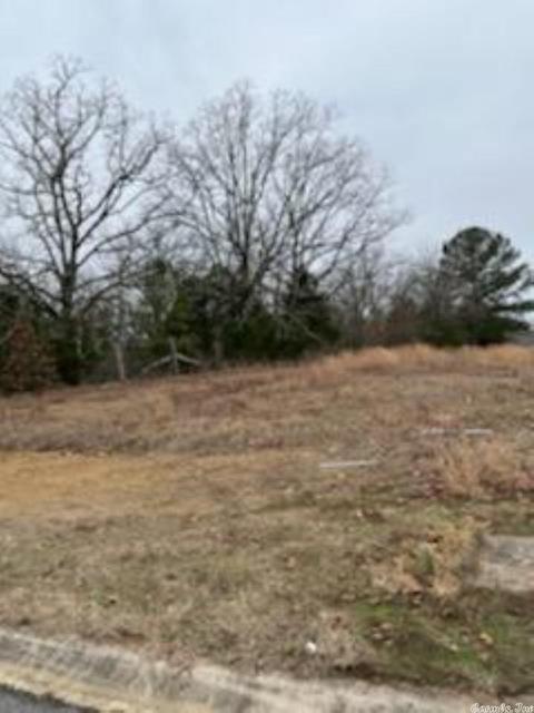 1593 Alamosa, Cabot, AR 72023 photo 1