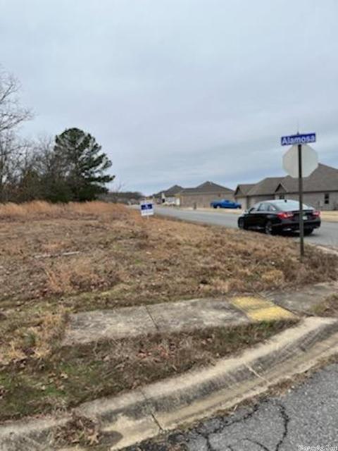 1593 Alamosa, Cabot, AR 72023 photo 3