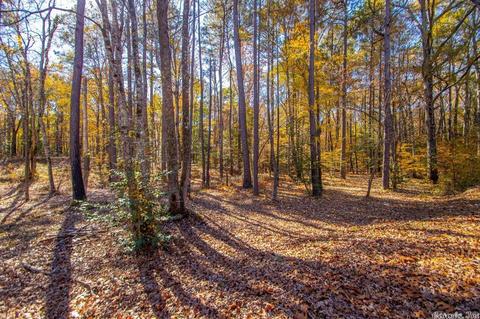 8201 Highway 35, Benton, AR 72015 photo 1