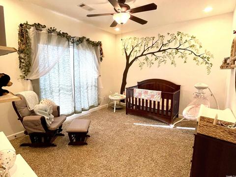 204 Jackson Park Cv, Cabot, AR 72023 photo 27
