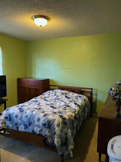 217 11th St, Marked Tree, AR 72365 photo 13