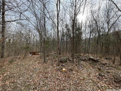 350 Roaring River Rd, Mountain View, AR 72560 photo 3