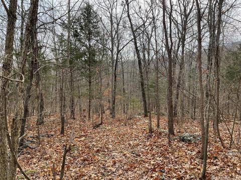 350 Roaring River Rd, Mountain View, AR 72560 photo 4