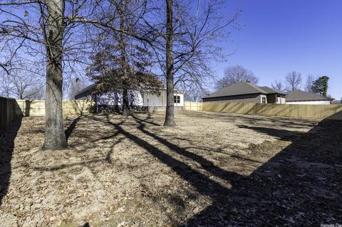 165 Morgan Dr, Austin, AR 72007 photo 9