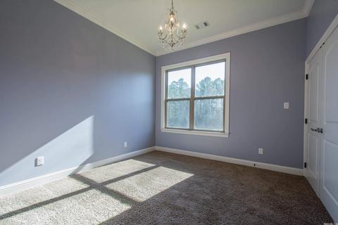 1325 Dat Place Ln, Alexander, AR 72002 photo 29