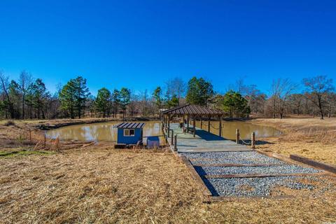 1325 Dat Place Ln, Alexander, AR 72002 photo 45