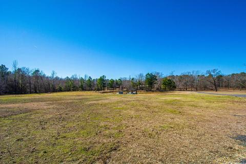1325 Dat Place Ln, Alexander, AR 72002 photo 39