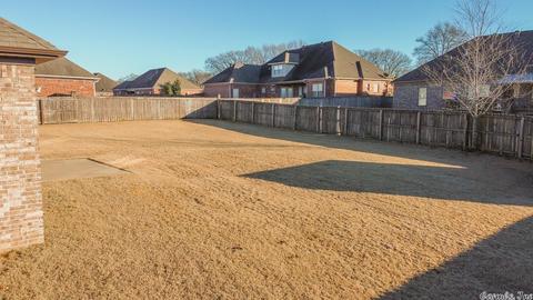 97 Nixon Ln, Austin, AR 72007 photo 34