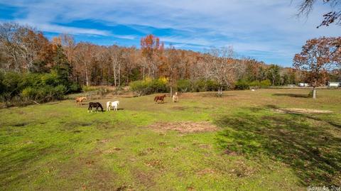 251 Wildcat, Searcy, AR 72143 photo 36