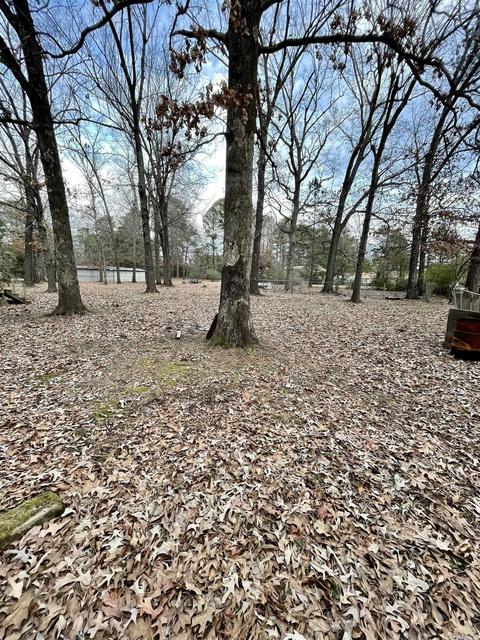 3107 Kay Don, Pine Bluff, AR 71603 photo 4