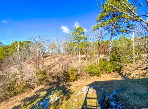 50 Hale Ln, Norfork, AR 72658 photo 13