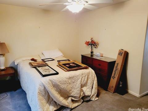 73 Sliver Hills Rd, Mount Ida, AR 71957 photo 19