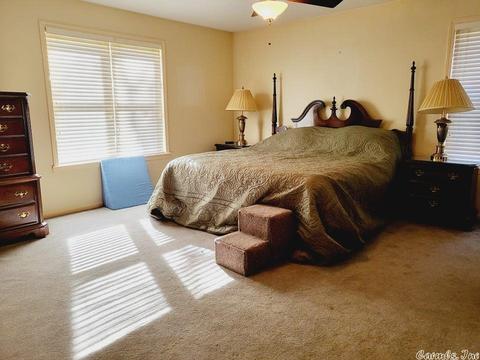 73 Sliver Hills Rd, Mount Ida, AR 71957 photo 13