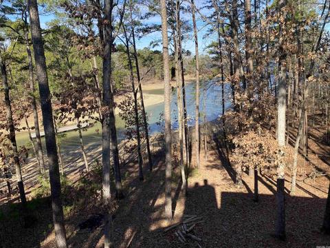 72 Peninsula Dr # A, Mount Ida, AR 71957 photo 39