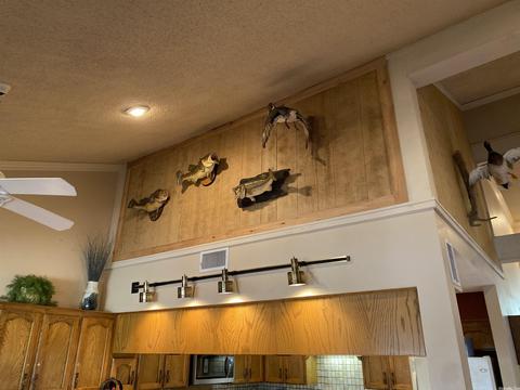 72 Peninsula Dr # A, Mount Ida, AR 71957 photo 9