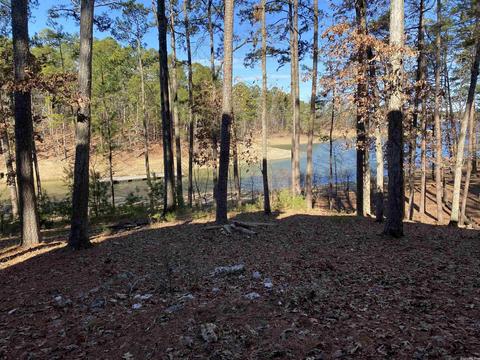 72 Peninsula Dr # A, Mount Ida, AR 71957 photo 33