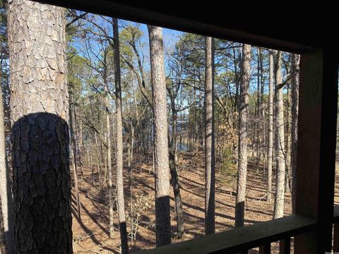 72 Peninsula Dr # A, Mount Ida, AR 71957 photo 40