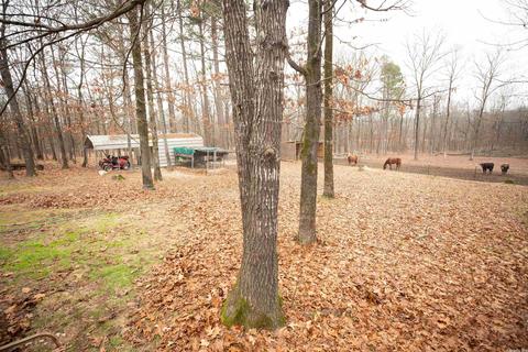 14500 Norman Davis, Alexander, AR 72002 photo 27